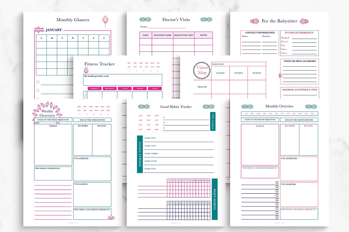 Deluxe Life Planner Printable Example Pages