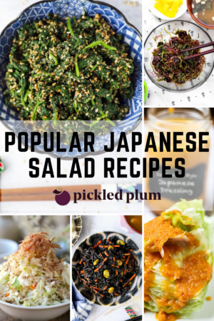 Popular and easy Japanese salad recipes